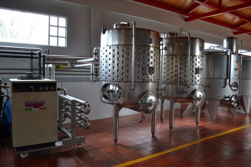 cave-GINASSERVIS-min_wine_production_cantine_winery_drink_alcohol_vine_beverage-902036